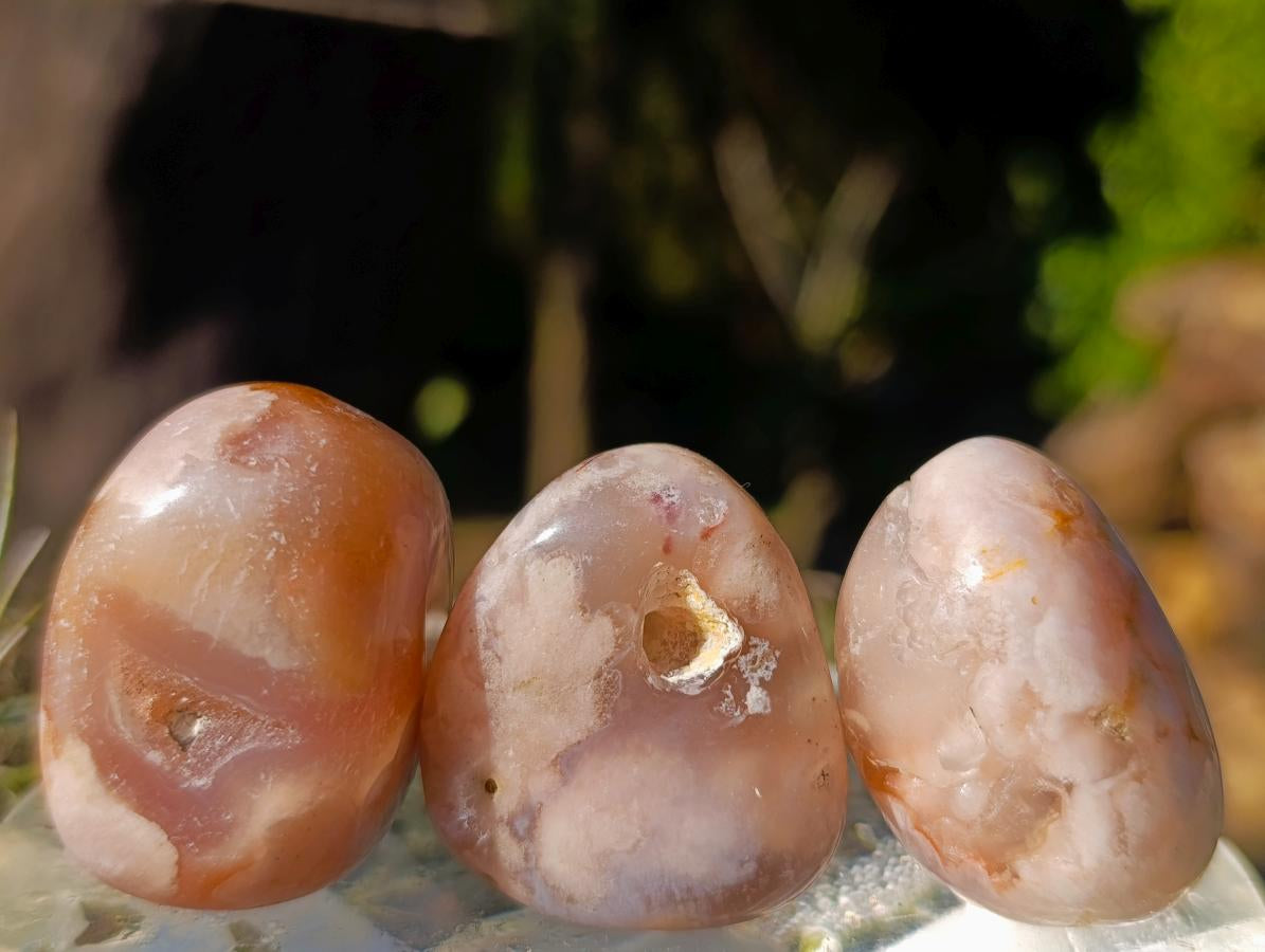 Polished Small Flower Agate Free Forms x 70 From Antsahalova, Madagascar - Toprock Gemstones and Minerals 