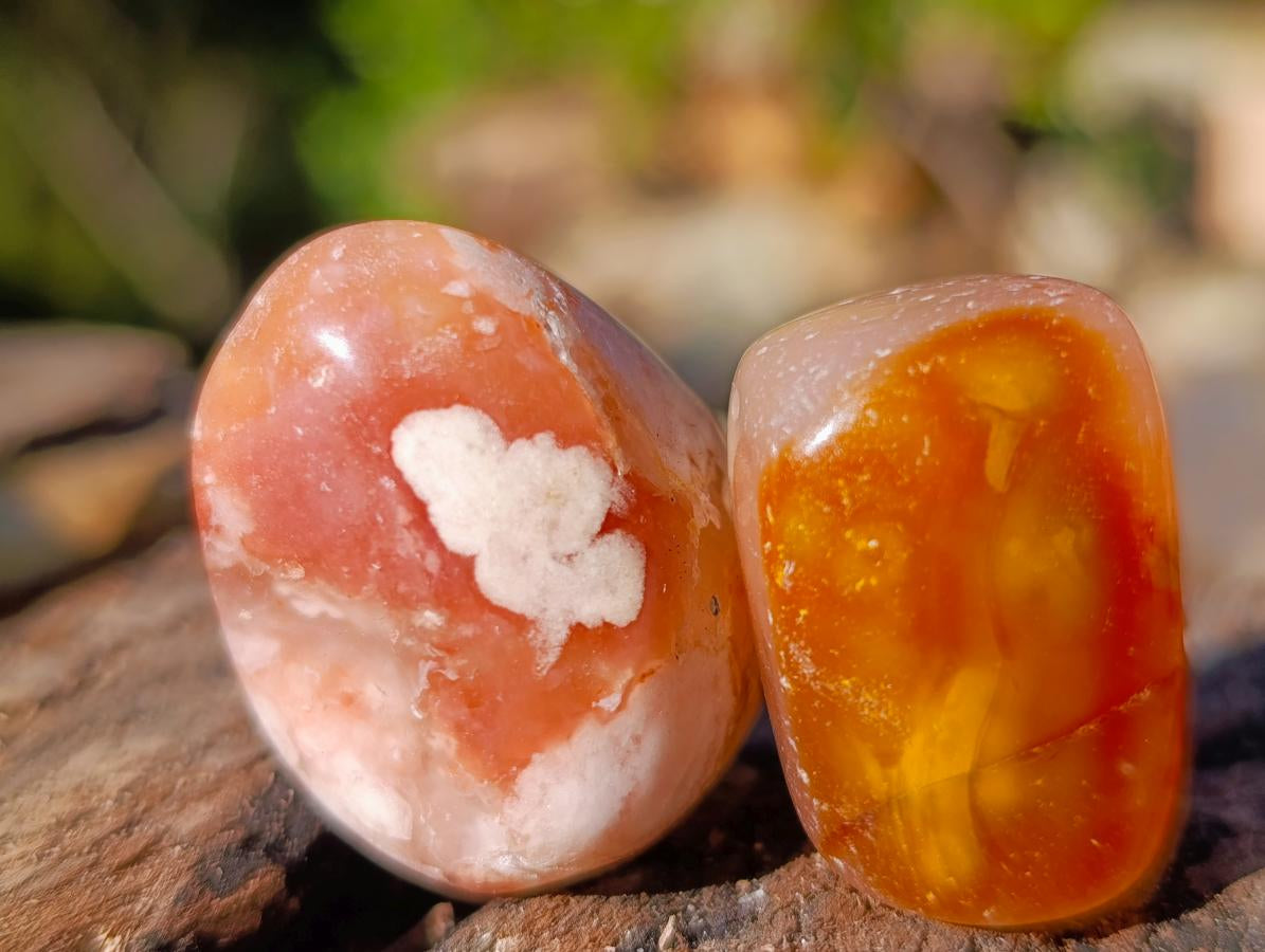 Polished Small Flower Agate Free Forms x 70 From Antsahalova, Madagascar - Toprock Gemstones and Minerals 