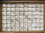 Natural Small Brandberg Quartz Crystals and Clusters x 70 From Brandberg, Namibia - Toprock Gemstones and Minerals 