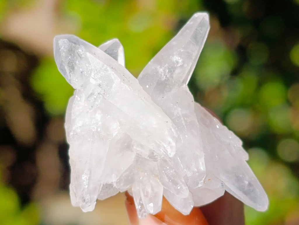 Natural Small Brandberg Quartz Crystals and Clusters x 70 From Brandberg, Namibia - Toprock Gemstones and Minerals 