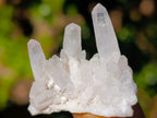 Natural Small Brandberg Quartz Crystals and Clusters x 70 From Brandberg, Namibia - Toprock Gemstones and Minerals 