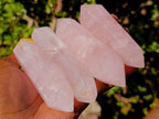 Polished Double Terminated Gemmy Rose Quartz Crystals x 12 From Madagascar - Toprock Gemstones and Minerals 
