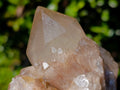 Natural Cascading White Phantom Smokey Luena Quartz Clusters x 6 From Luena, Congo
