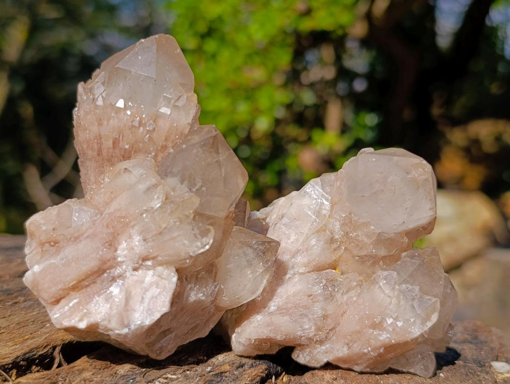 Natural Cascading White Phantom Smokey Luena Quartz Clusters x 6 From Luena, Congo