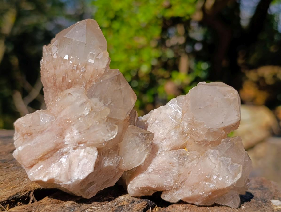 Natural Cascading White Phantom Smokey Luena Quartz Clusters x 6 From Luena, Congo