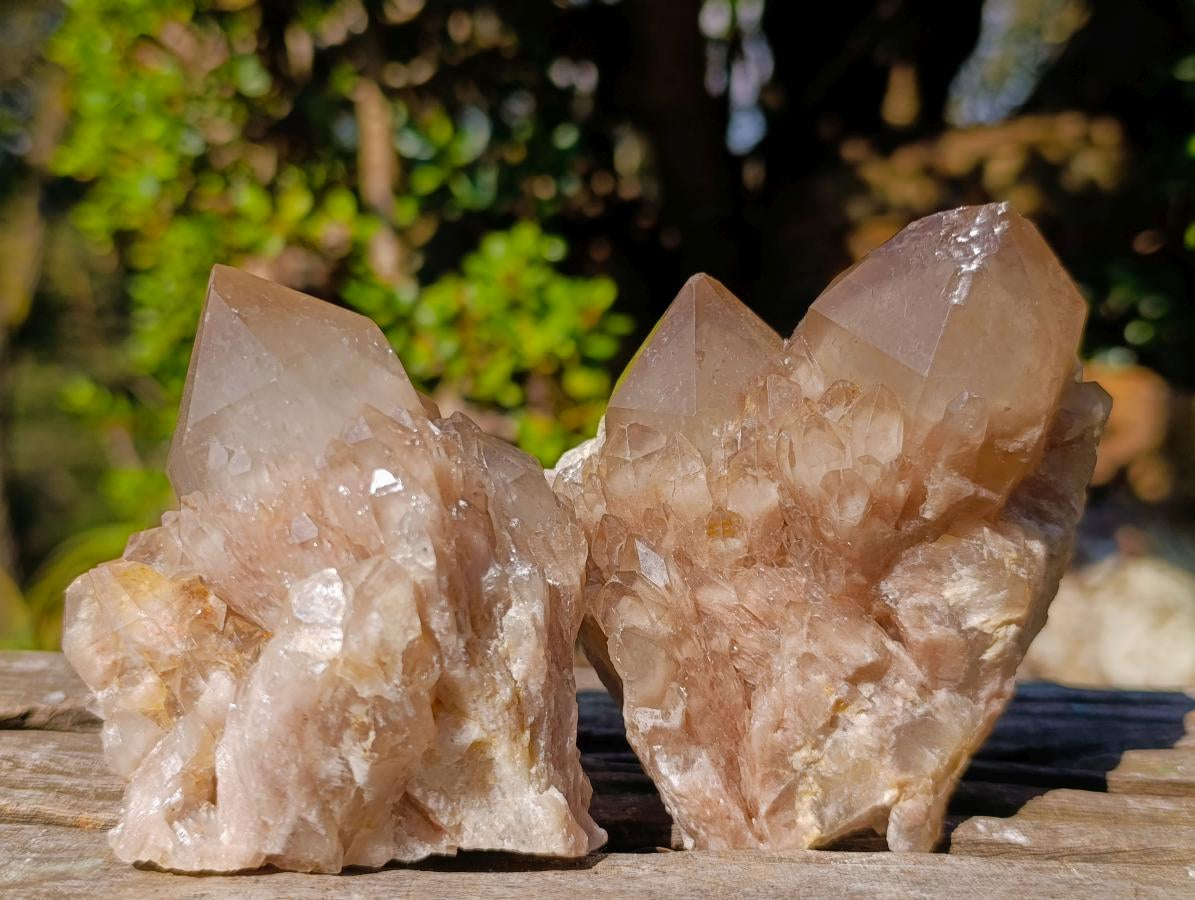 Natural Cascading White Phantom Smokey Luena Quartz Clusters x 6 From Luena, Congo
