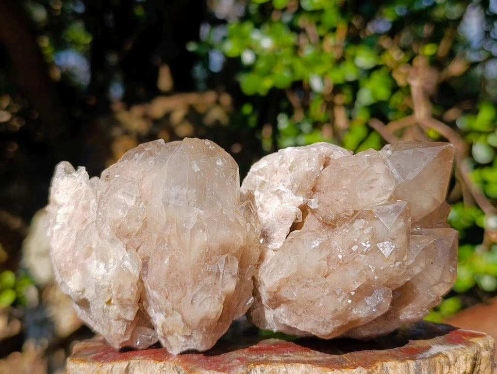 Natural Cascading White Phantom Smokey Luena Quartz Clusters x 6 From Luena, Congo