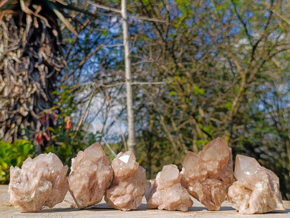 Natural Cascading White Phantom Smokey Luena Quartz Clusters x 6 From Luena, Congo