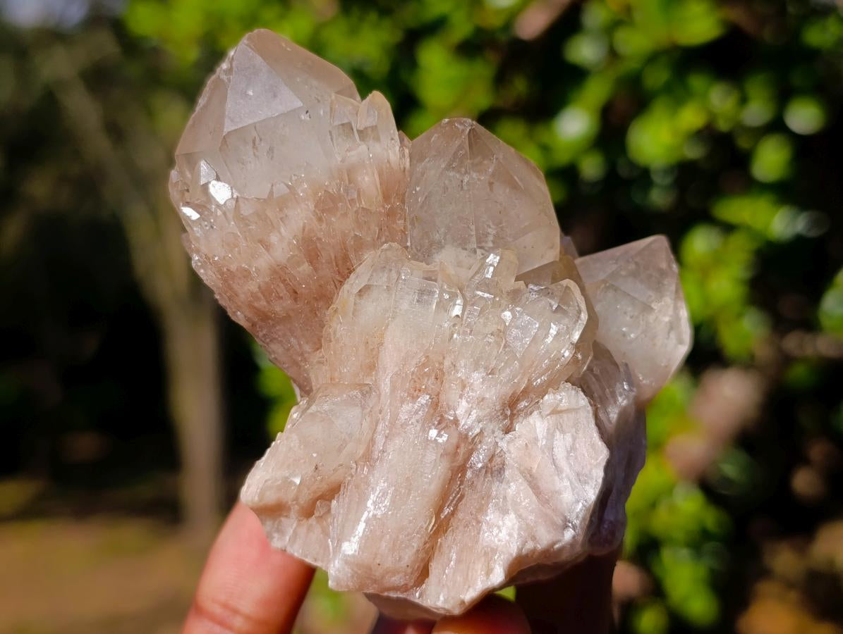 Natural Cascading White Phantom Smokey Luena Quartz Clusters x 6 From Luena, Congo