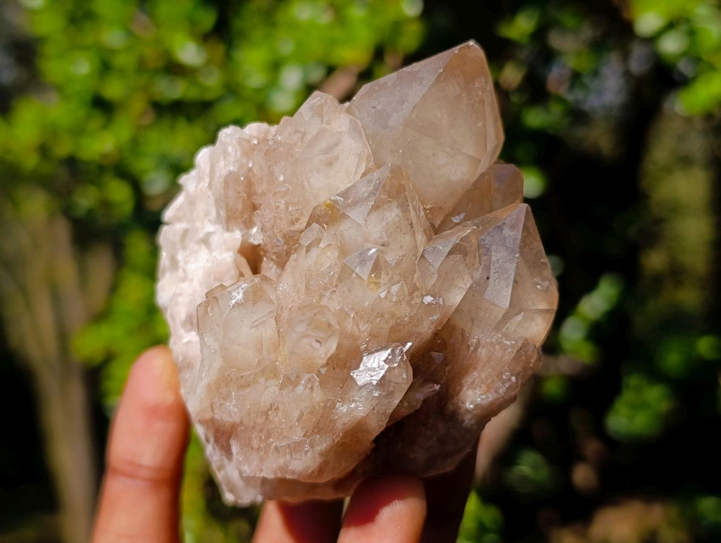 Natural Cascading White Phantom Smokey Luena Quartz Clusters x 6 From Luena, Congo