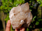 Natural Cascading White Phantom Smokey Luena Quartz Clusters x 6 From Luena, Congo