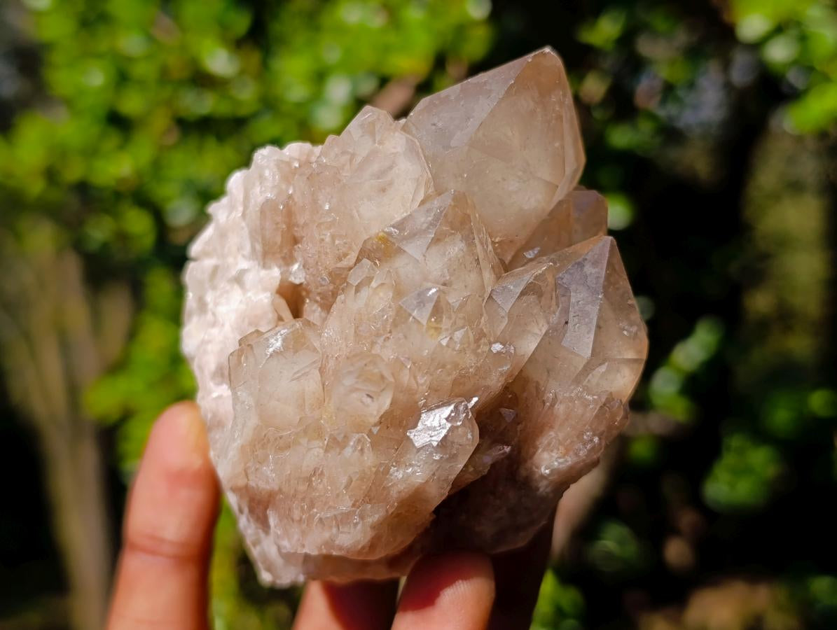Natural Cascading White Phantom Smokey Luena Quartz Clusters x 6 From Luena, Congo