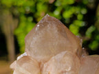 Natural Cascading White Phantom Smokey Luena Quartz Clusters x 6 From Luena, Congo