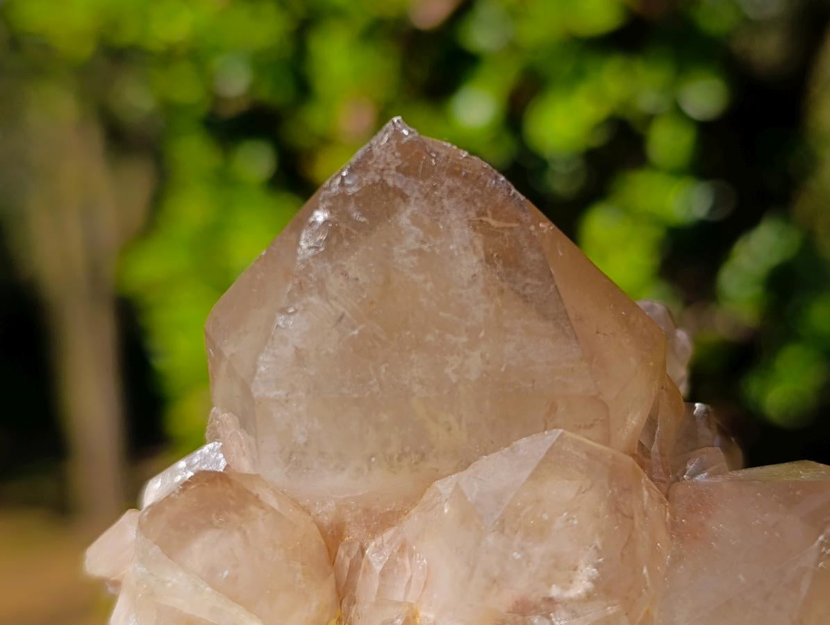 Natural Cascading White Phantom Smokey Luena Quartz Clusters x 6 From Luena, Congo