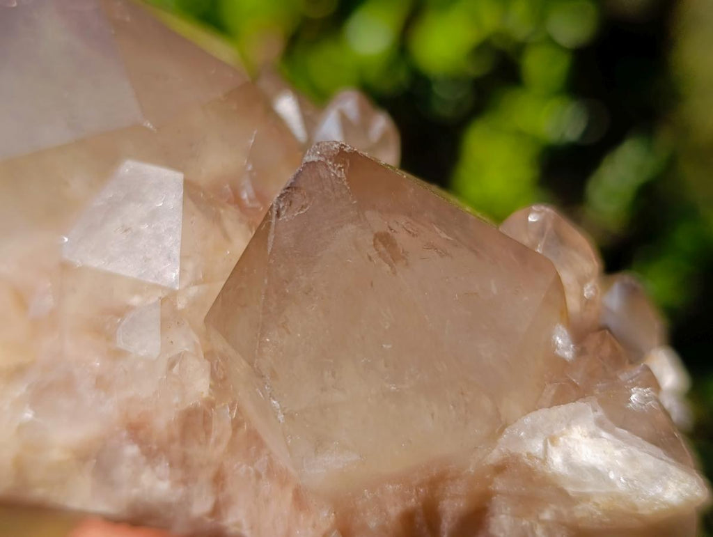 Natural Cascading White Phantom Smokey Luena Quartz Clusters x 6 From Luena, Congo