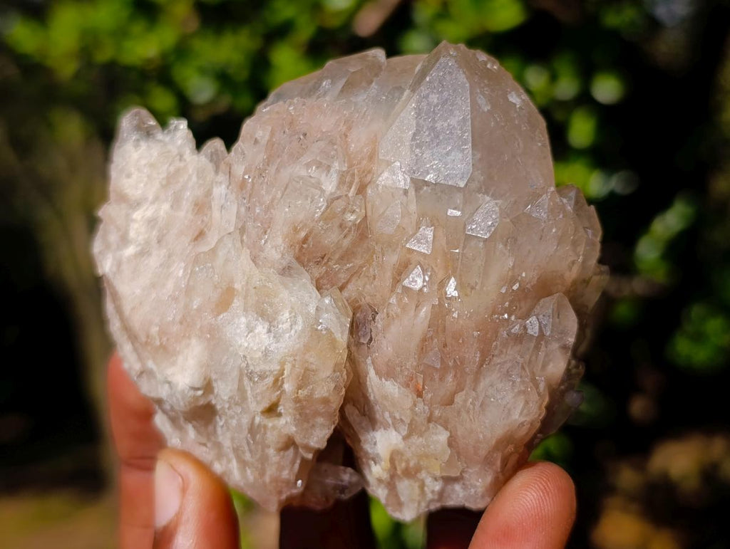 Natural Cascading White Phantom Smokey Luena Quartz Clusters x 6 From Luena, Congo