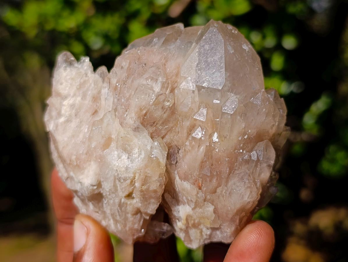 Natural Cascading White Phantom Smokey Luena Quartz Clusters x 6 From Luena, Congo