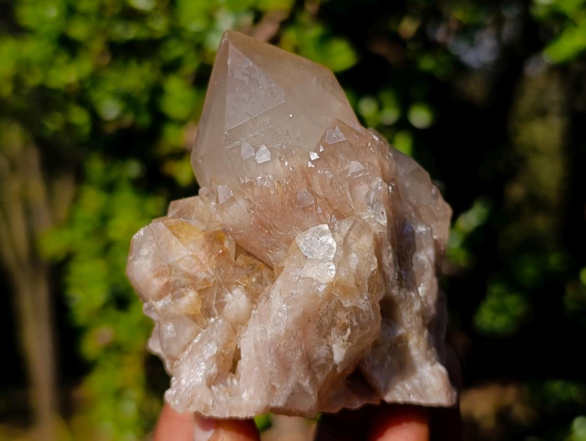 Natural Cascading White Phantom Smokey Luena Quartz Clusters x 6 From Luena, Congo