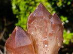 Natural Red Hematoid Quartz Crystal Clusters x 4 From Karoi, Zimbabwe