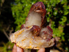Natural Red Hematoid Quartz Crystal Clusters x 4 From Karoi, Zimbabwe