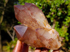 Natural Red Hematoid Quartz Crystal Clusters x 4 From Karoi, Zimbabwe