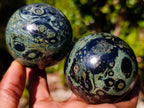Polished Stromatolite Spheres x 6 From Katsepy, Madagascar