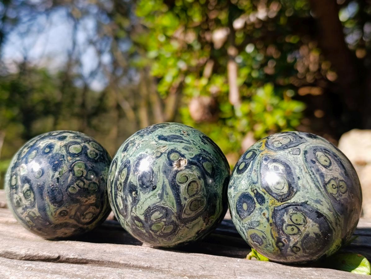 Polished Stromatolite Spheres x 6 From Katsepy, Madagascar