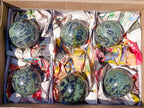 Polished Stromatolite Spheres x 6 From Katsepy, Madagascar