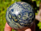 Polished Stromatolite Spheres x 6 From Katsepy, Madagascar