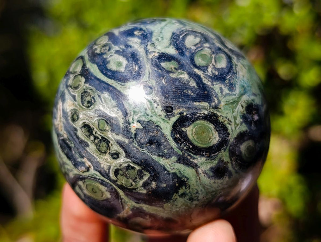 Polished Stromatolite Spheres x 6 From Katsepy, Madagascar