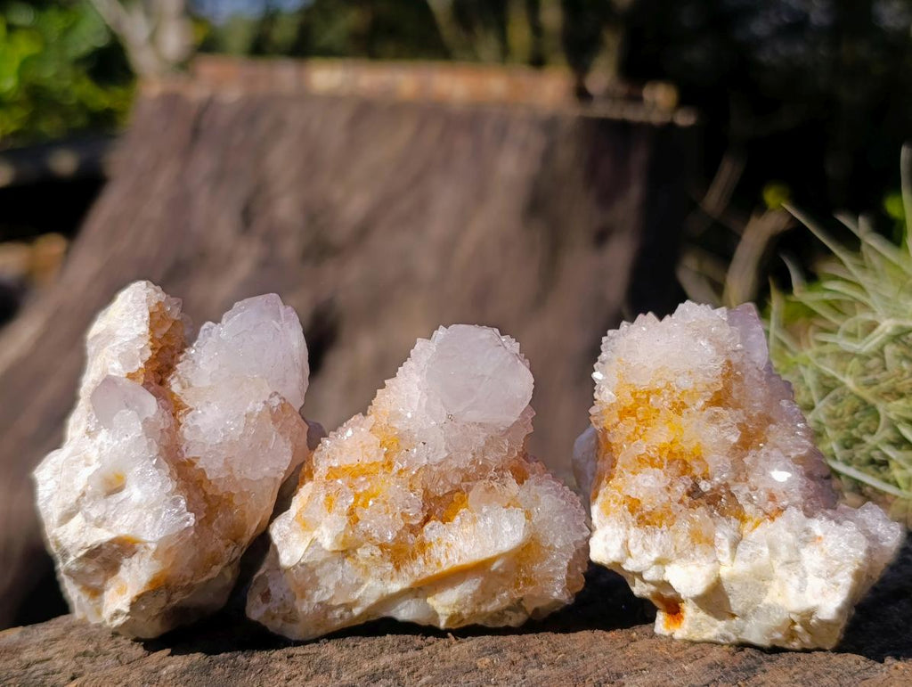 Natural Mix of Spirit Quartz Crystals and Clusters x 12 From Boekenhouthoek, South Africa