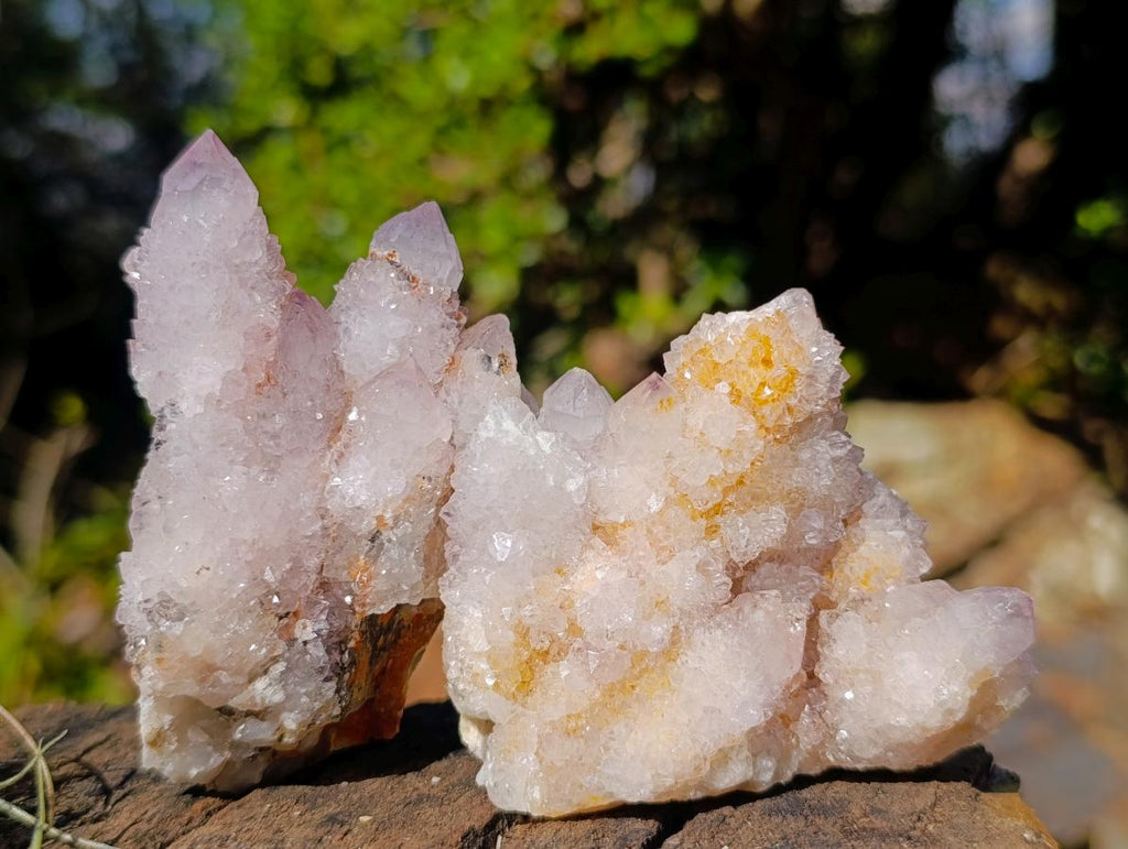 Natural Mix of Spirit Quartz Crystals and Clusters x 12 From Boekenhouthoek, South Africa