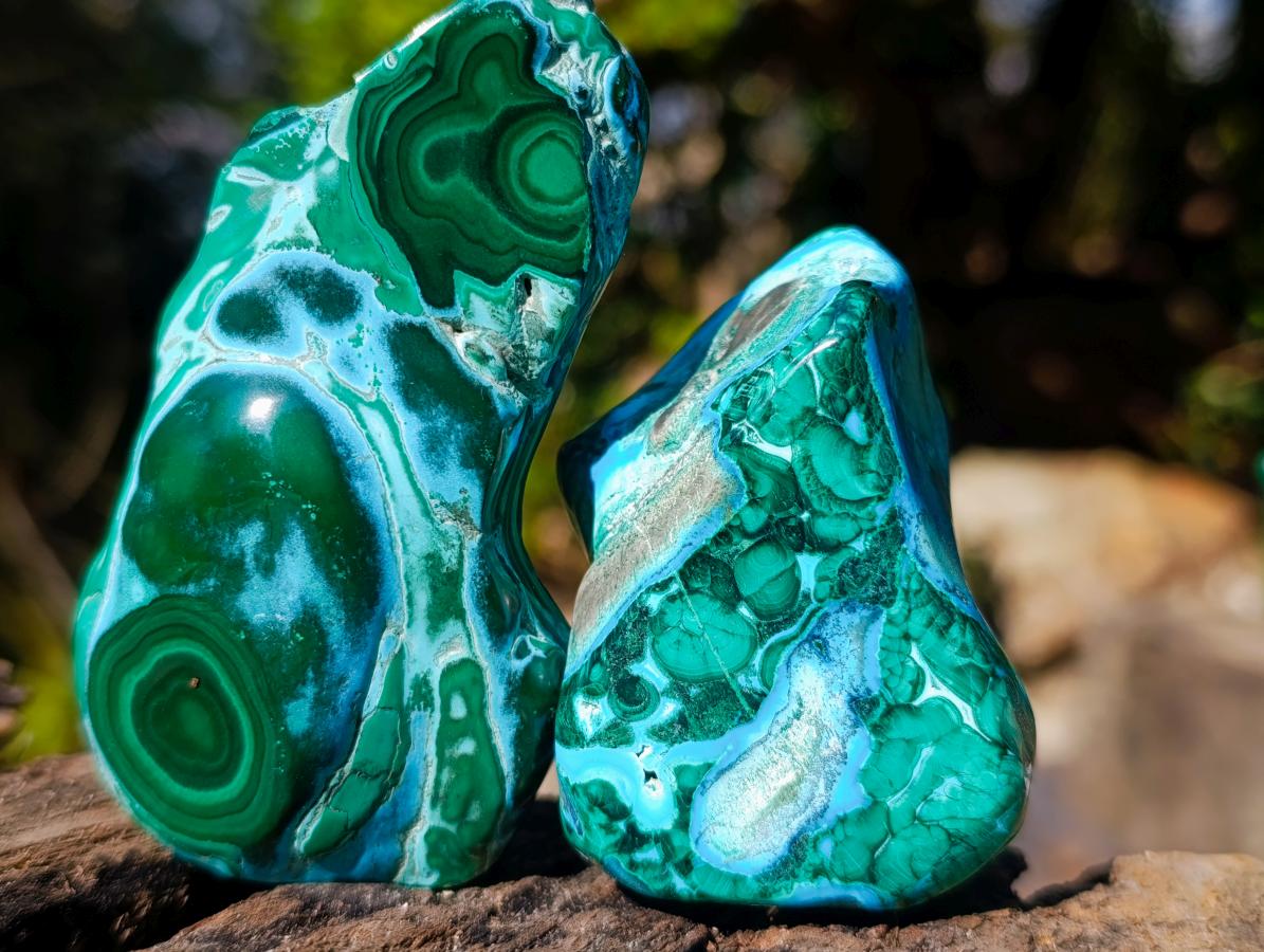 Polished Malacolla Free Forms x 6 From Kulukuluku, Congo