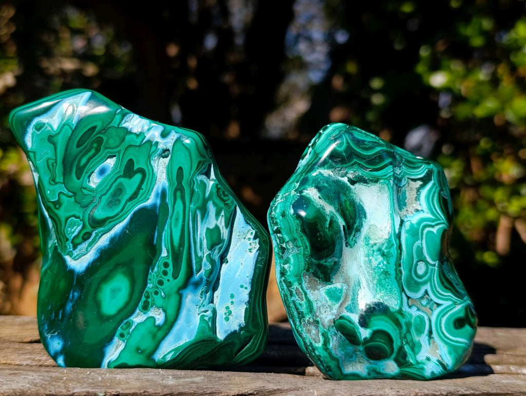 Polished Malacolla Free Forms x 6 From Kulukuluku, Congo