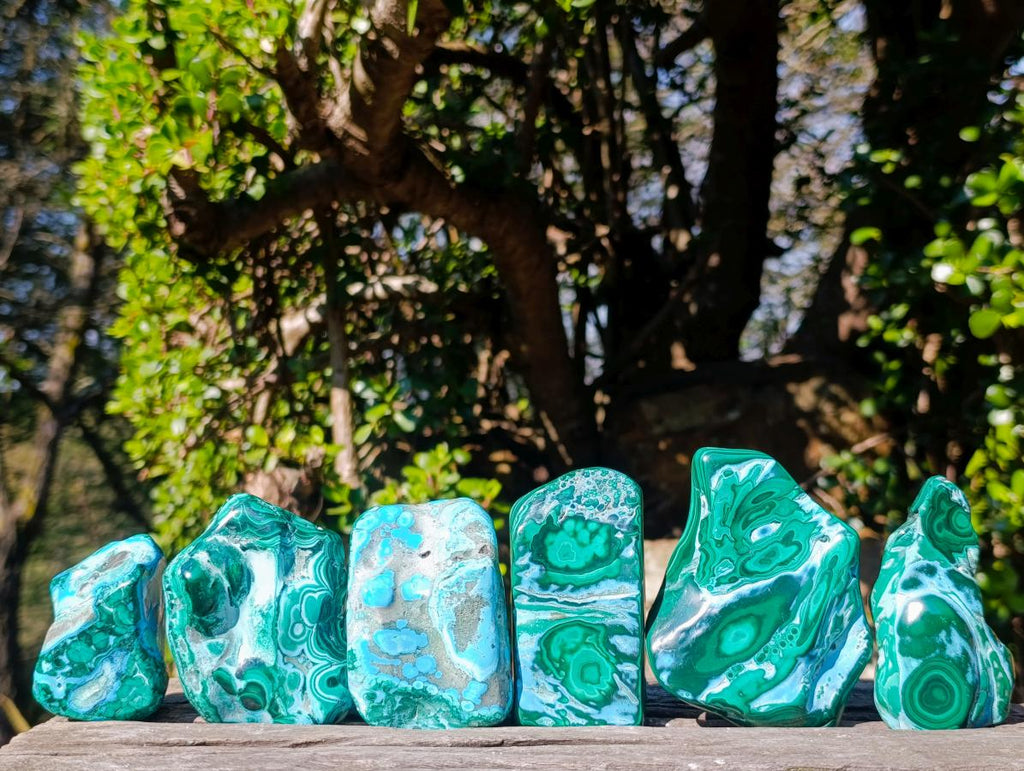 Polished Malacolla Free Forms x 6 From Kulukuluku, Congo