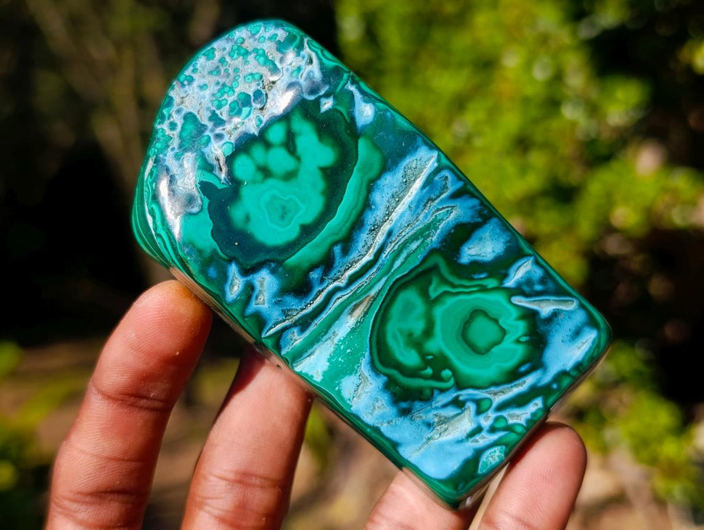 Polished Malacolla Free Forms x 6 From Kulukuluku, Congo