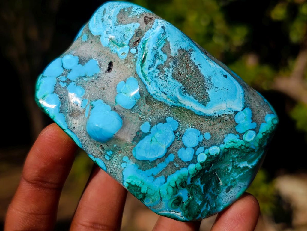 Polished Malacolla Free Forms x 6 From Kulukuluku, Congo