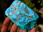 Polished Malacolla Free Forms x 6 From Kulukuluku, Congo