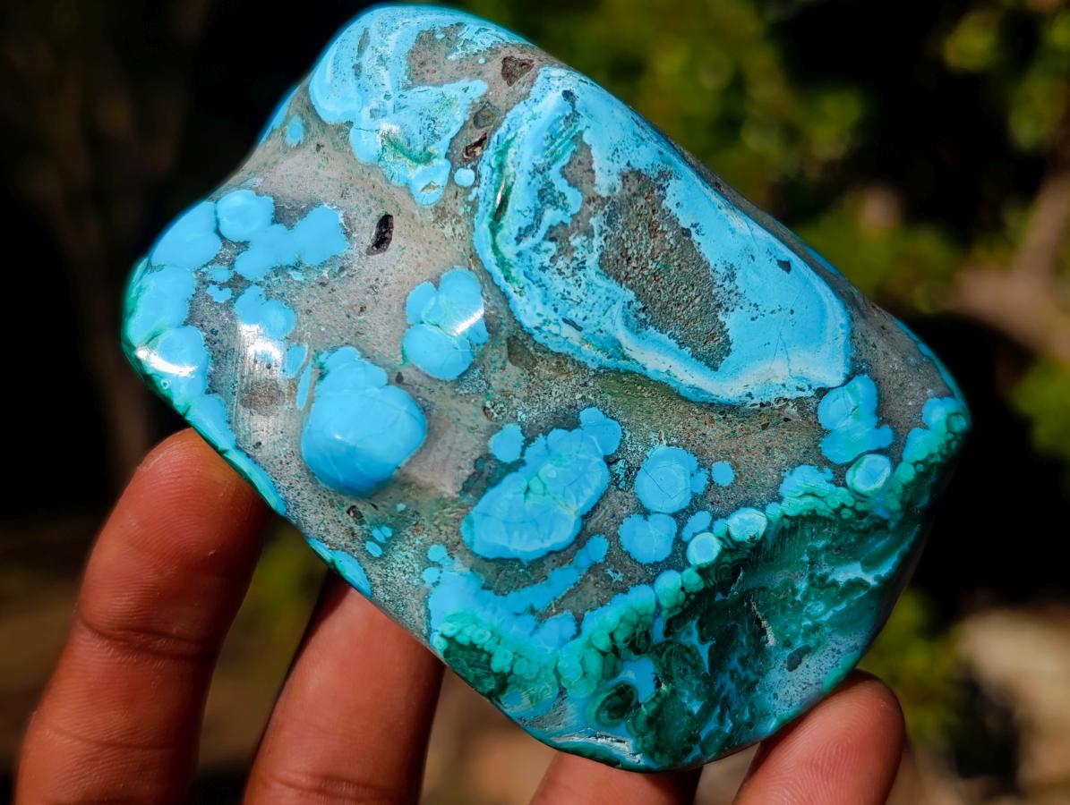 Polished Malacolla Free Forms x 6 From Kulukuluku, Congo