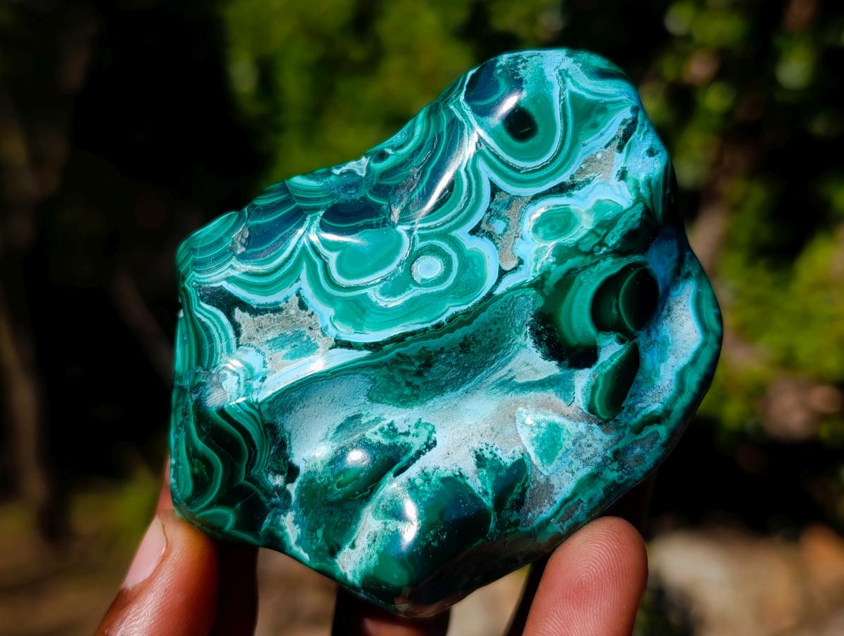 Polished Malacolla Free Forms x 6 From Kulukuluku, Congo