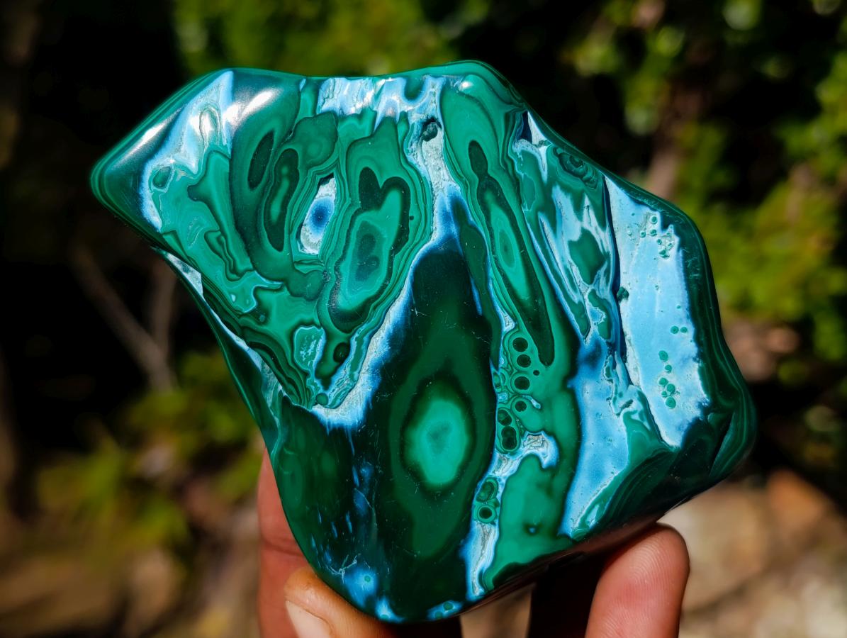 Polished Malacolla Free Forms x 6 From Kulukuluku, Congo