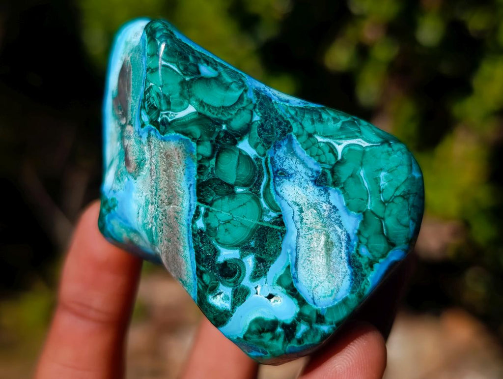 Polished Malacolla Free Forms x 6 From Kulukuluku, Congo