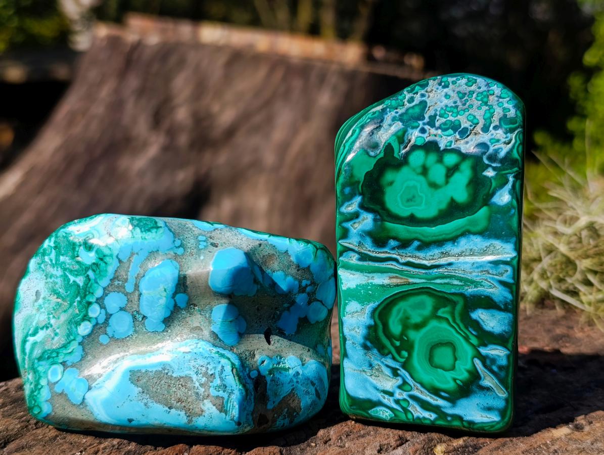 Polished Malacolla Free Forms x 6 From Kulukuluku, Congo