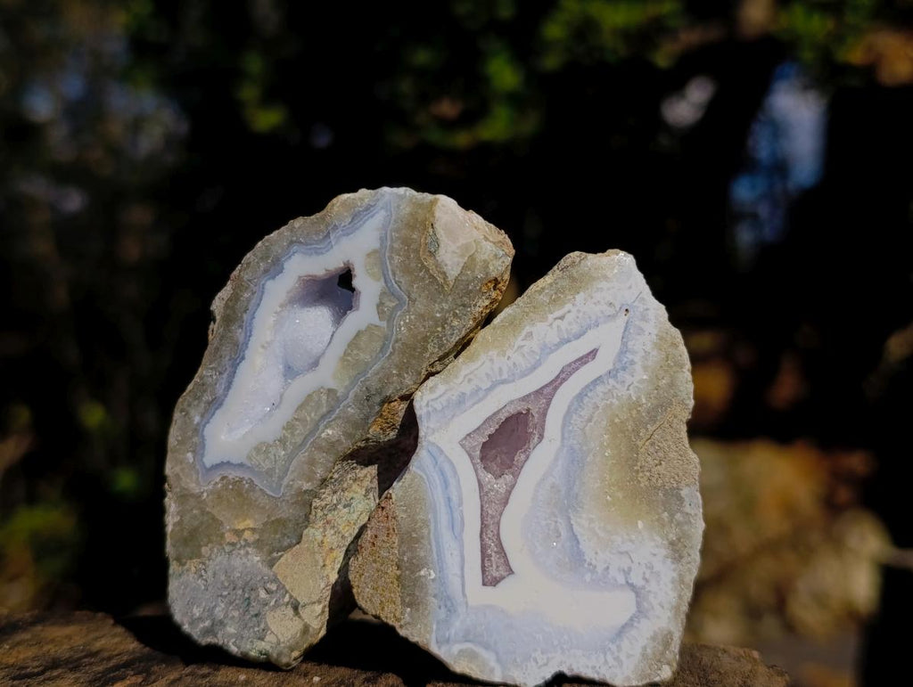 Polished One Side Blue Lace Agate Geodes x 24 From Nsanje, Malawi - Toprock Gemstones and Minerals 