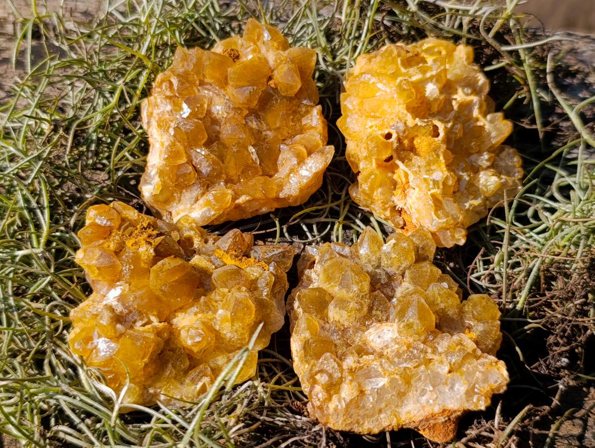 Natural Golden Limonite Quartz Crystal Clusters x 24 From Solwezi, Zambia