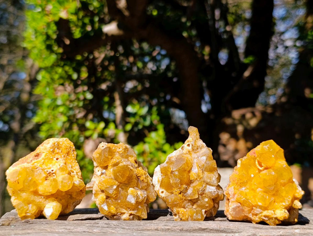 Natural Golden Limonite Quartz Crystal Clusters x 24 From Solwezi, Zambia