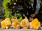 Natural Golden Limonite Quartz Crystal Clusters x 24 From Solwezi, Zambia
