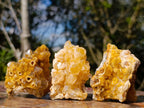 Natural Golden Limonite Quartz Crystal Clusters x 24 From Solwezi, Zambia