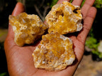 Natural Golden Limonite Quartz Crystal Clusters x 24 From Solwezi, Zambia