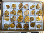 Natural Golden Limonite Quartz Crystal Clusters x 24 From Solwezi, Zambia